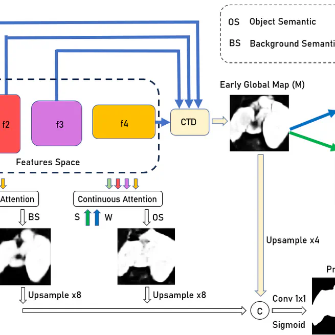 Adaptation of Distinct Semantics for Uncertain Areas in Polyp Segmentation (BMVC 2023)